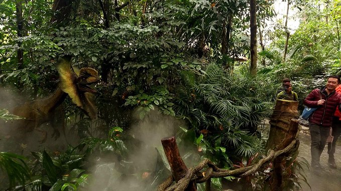 长隆广州野生动物园带娃游玩攻略,一大一小亲子游长隆野生动物园