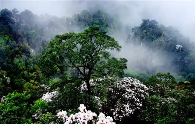 江西最美县城,江西最美十个县