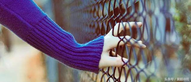 黄鹤诗苑对联大全,黄鹤诗苑诗词视频