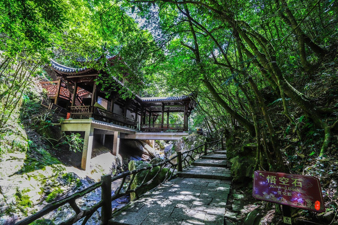 遂昌，一个在浙江只有25度的县城，被江浙沪誉为最值得度假的地方