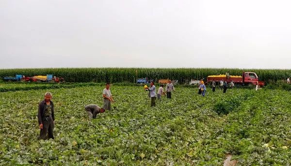 走遍天涯海角忘不了歌名叫什么,走遍天涯海角忘不了原唱