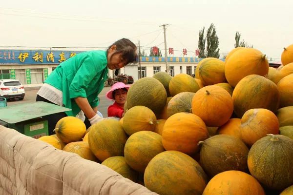 走遍天涯海角忘不了歌名叫什么,走遍天涯海角忘不了原唱