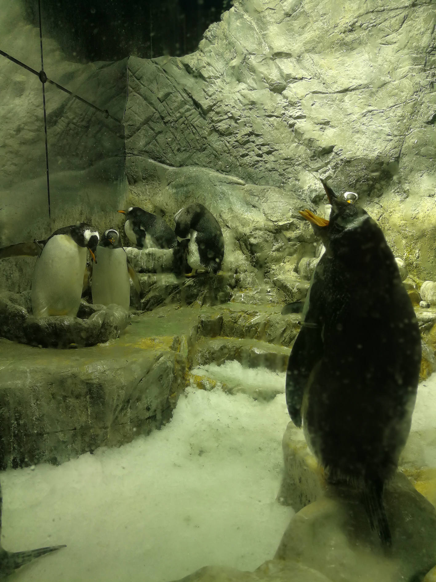 日本乐高亲子游,日本乐高亲子游玩中心在哪