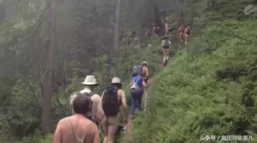 新款奥地利,新版奥地利