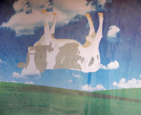 北戴河怪楼奇园来历,怪楼奇园旅游攻略