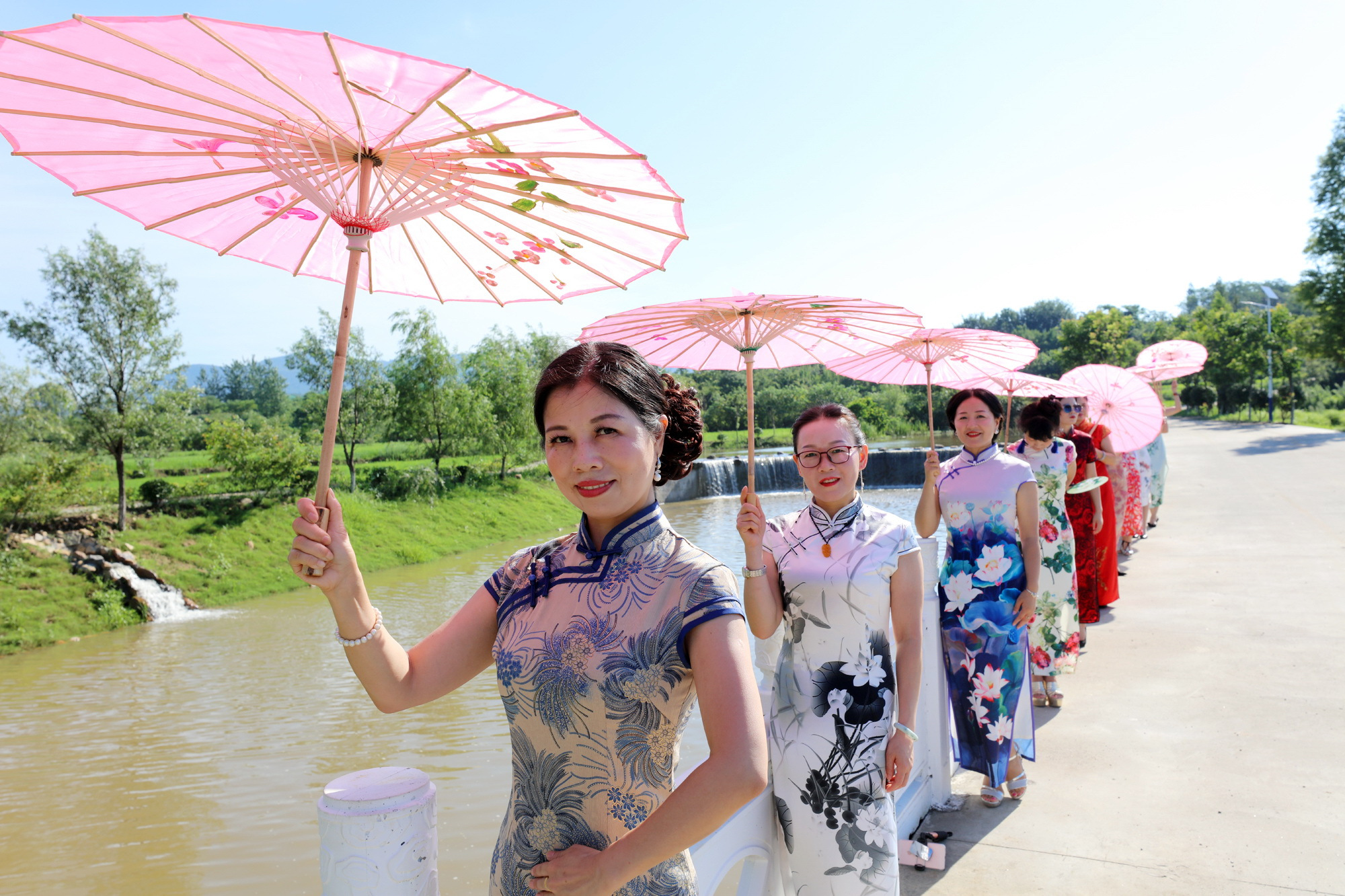 这个夏天的荷花太美了,这个夏天的荷花