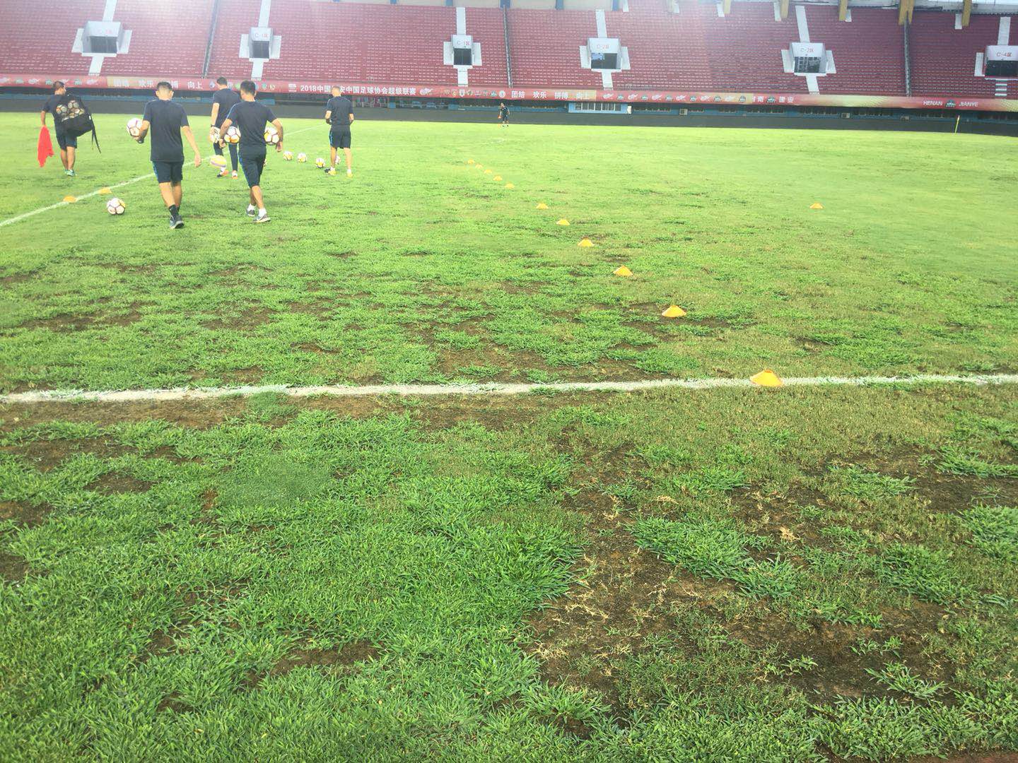 河南建业足球草皮,河南建业草皮