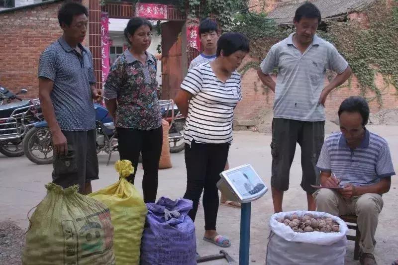 第一书记的主要任务是什么,第一书记工作法