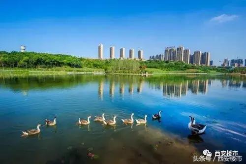 浐灞区改善房建议,西安改善房浐灞好还是高新好