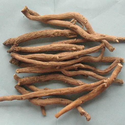 百部本草,每日一本草决明子