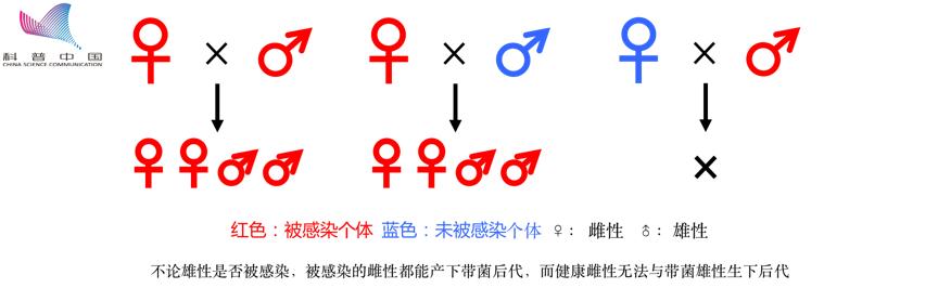 防蚊高手,夏季防蚊高手