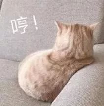 高清无版权照片哪里去找,高清大图图库