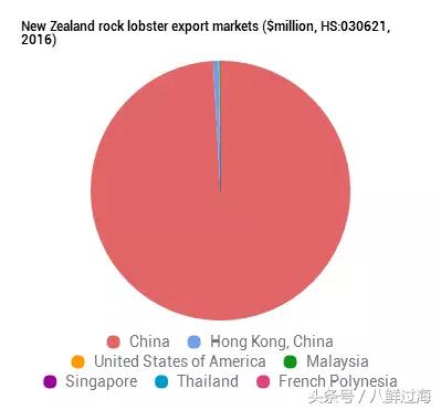新西兰红色岩龙虾,新西兰岩龙虾介绍