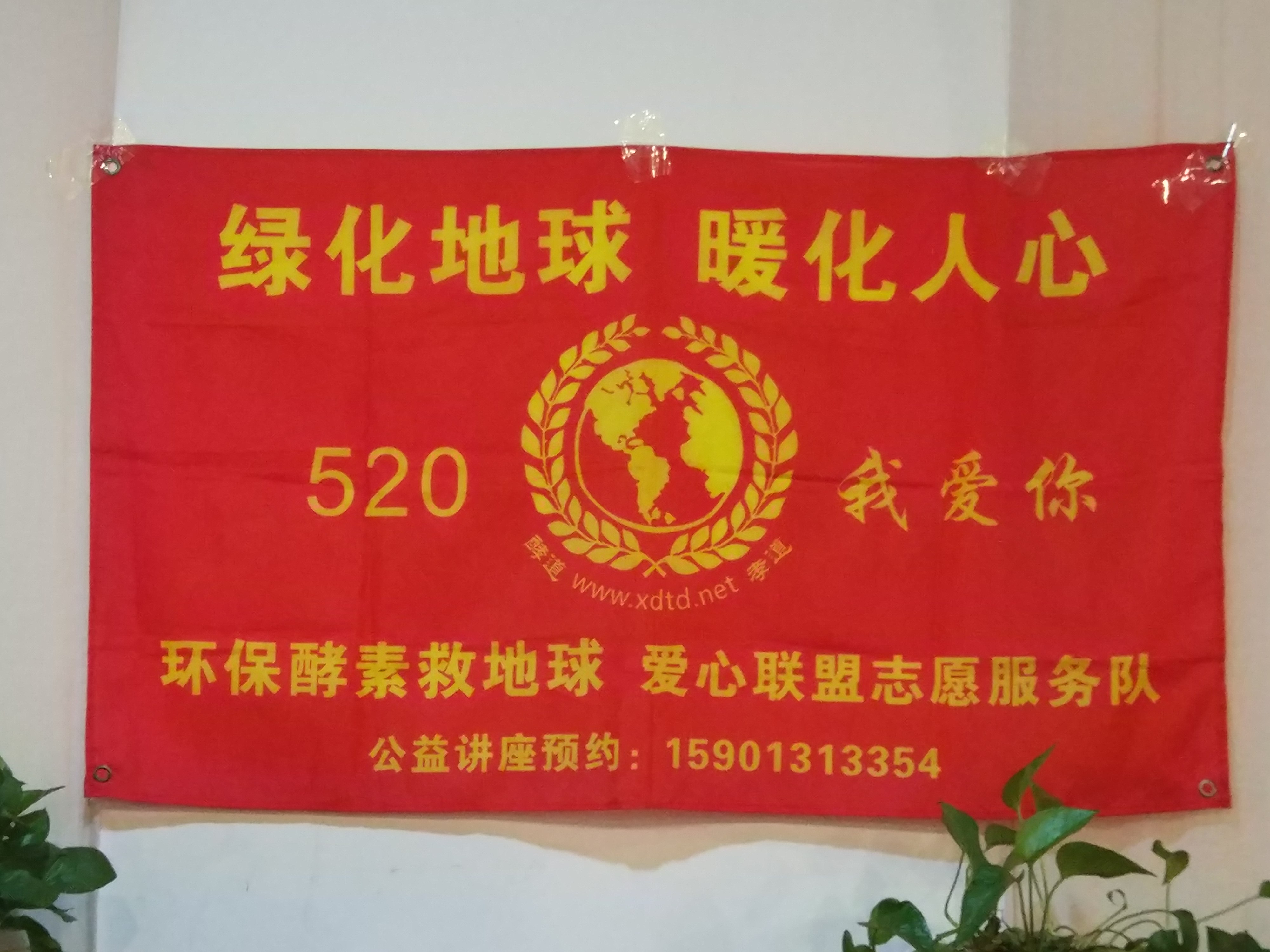 环保酵素的作用及危害,环保酵素作用和功效