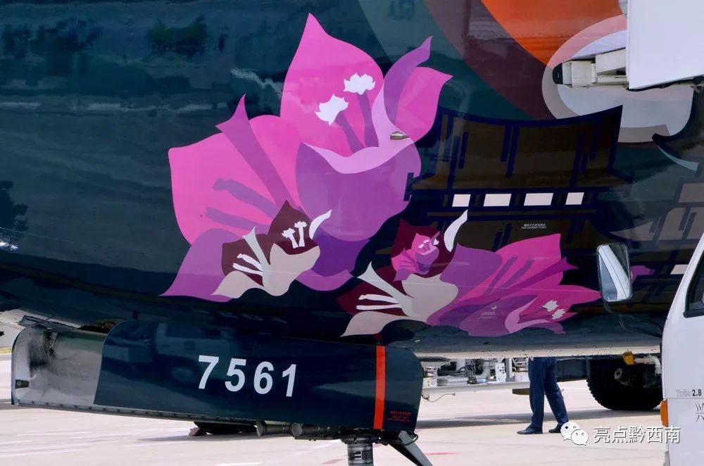 兴义万峰林飞机降落视频夜景,兴义万峰林机场飞机起飞视频