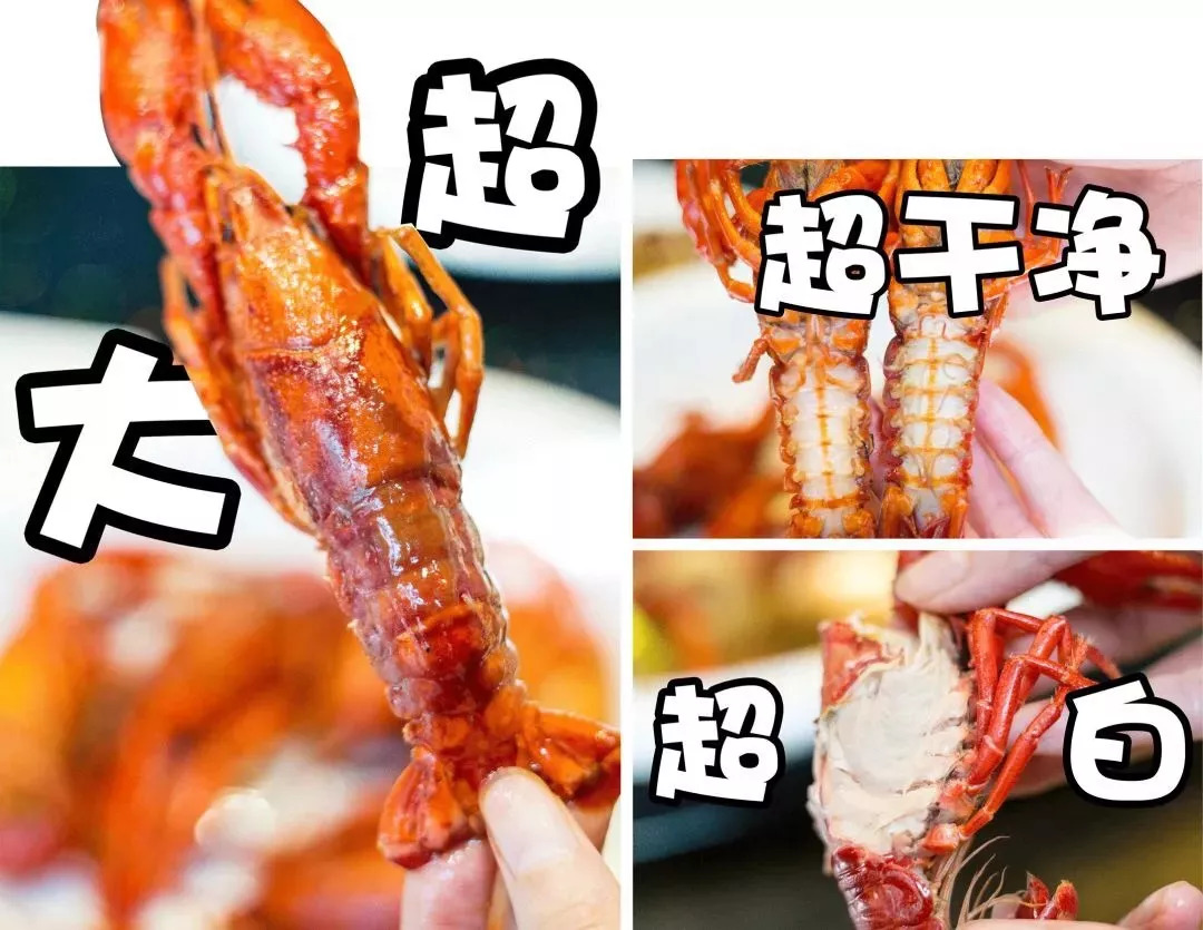 孩子在家不听话?9月22日,常州溜娃新坐标,1500㎡儿童公园终于来了!