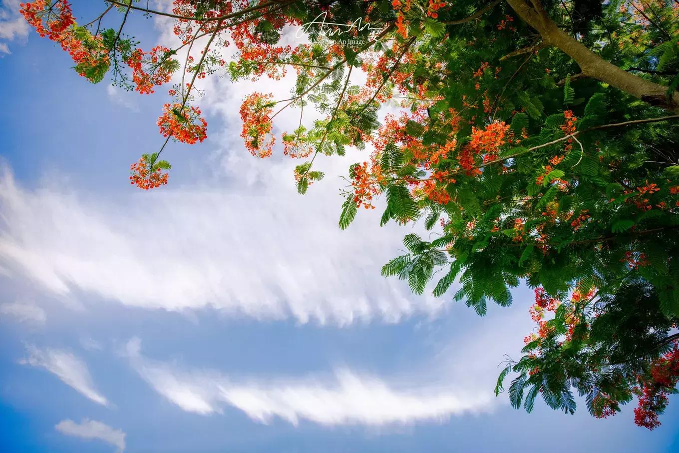 拥抱你的烈日暴雨，开启曼谷华新六日度假购物模式（下）