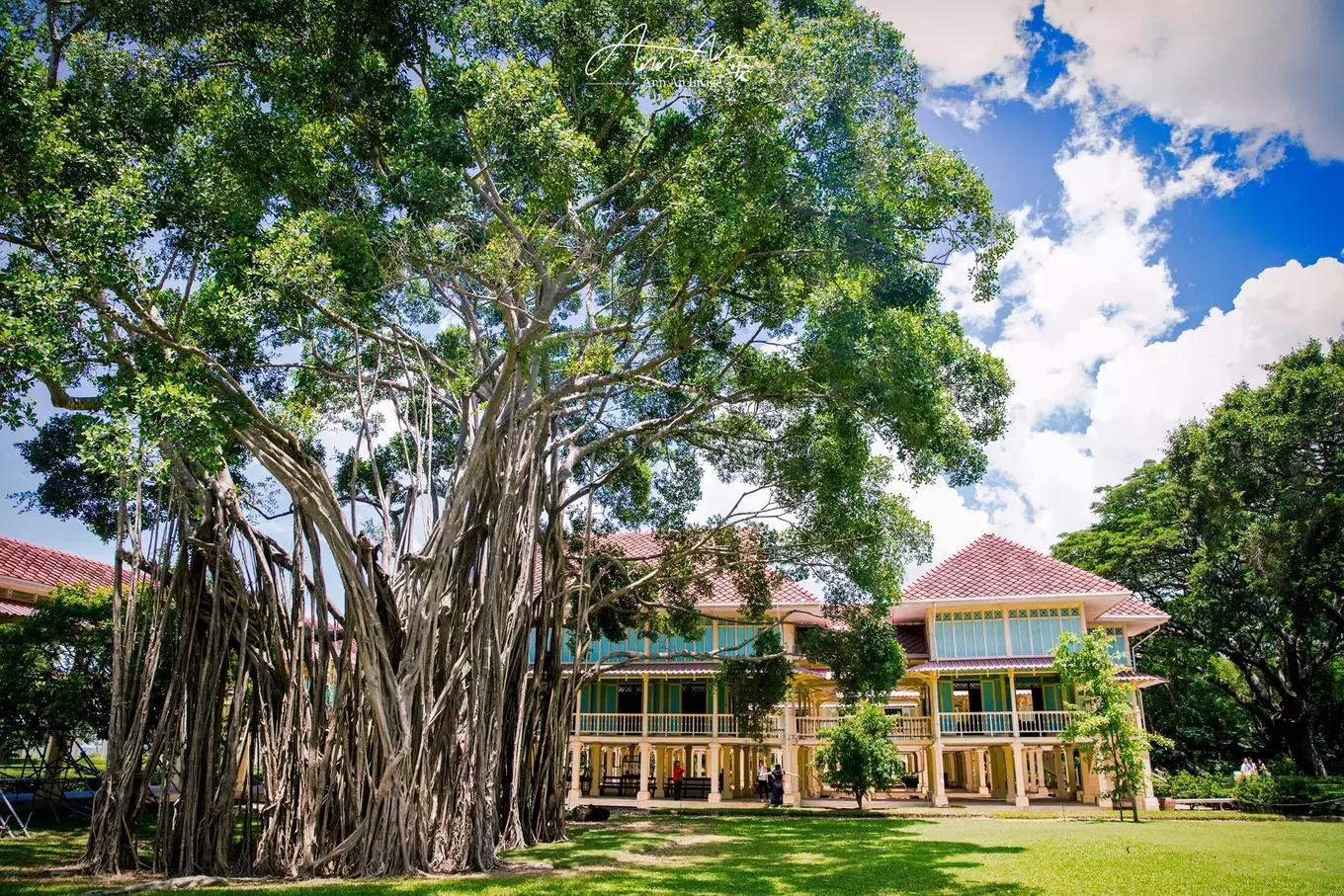 拥抱你的烈日暴雨，开启曼谷华新六日度假购物模式（下）