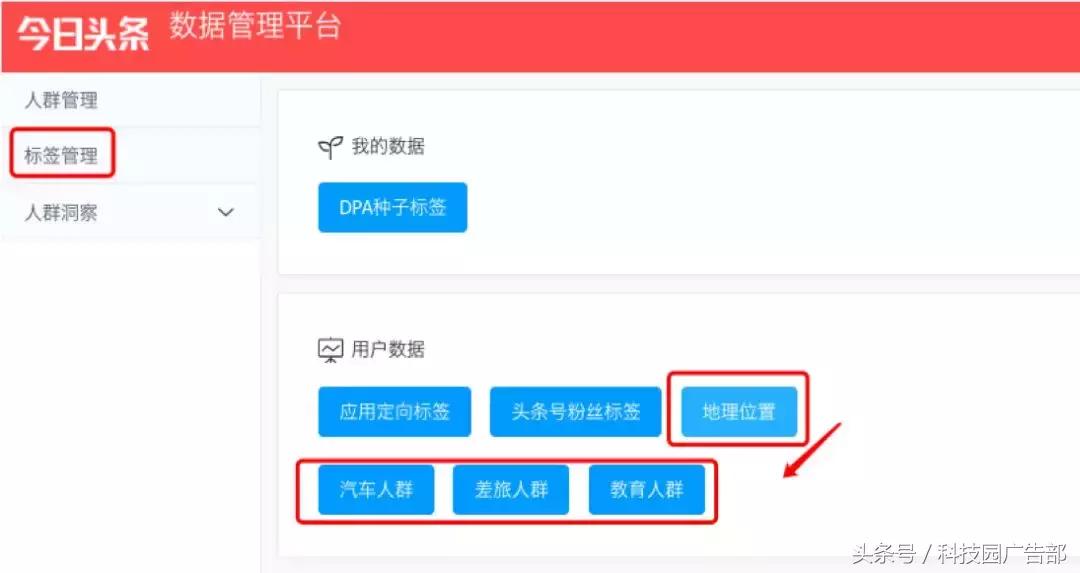 dmp怎么使用,dmp使用技巧大全
