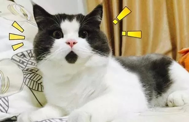 「净网2018」“山寨微信”出现，可转发语音，已有人被骗！