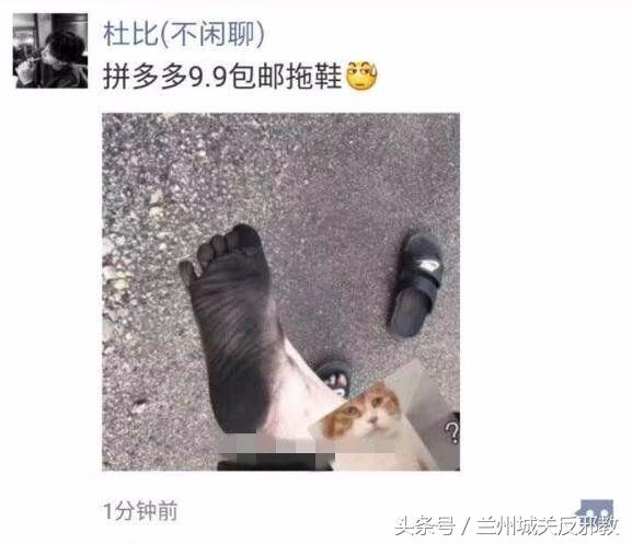 感谢拼多多平台的话,感谢拼多多让我购物自由