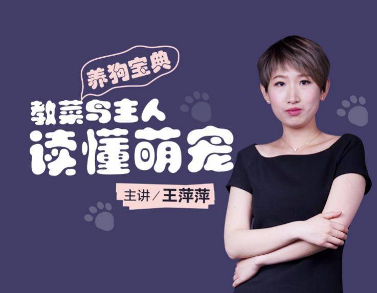 怎么样才能买到纯种的狗狗,要品质有品质要价格有价格