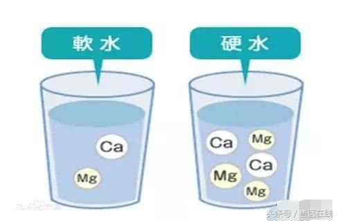 母猪又拉石灰尿了，如何解决？