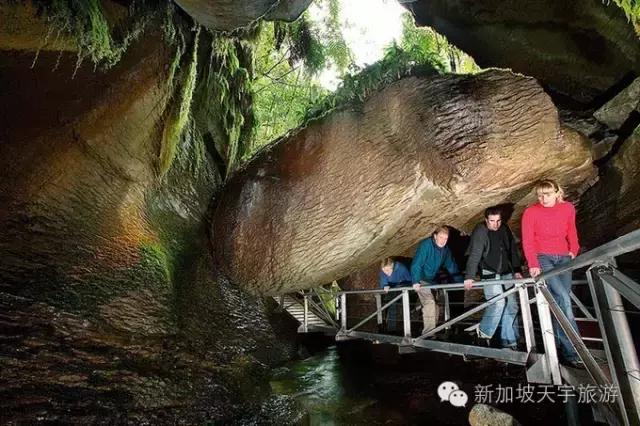 新西兰纯净之旅,10天时间旅游攻略