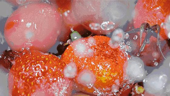 可呦米酸奶全国分店,可呦米酸奶怎么样