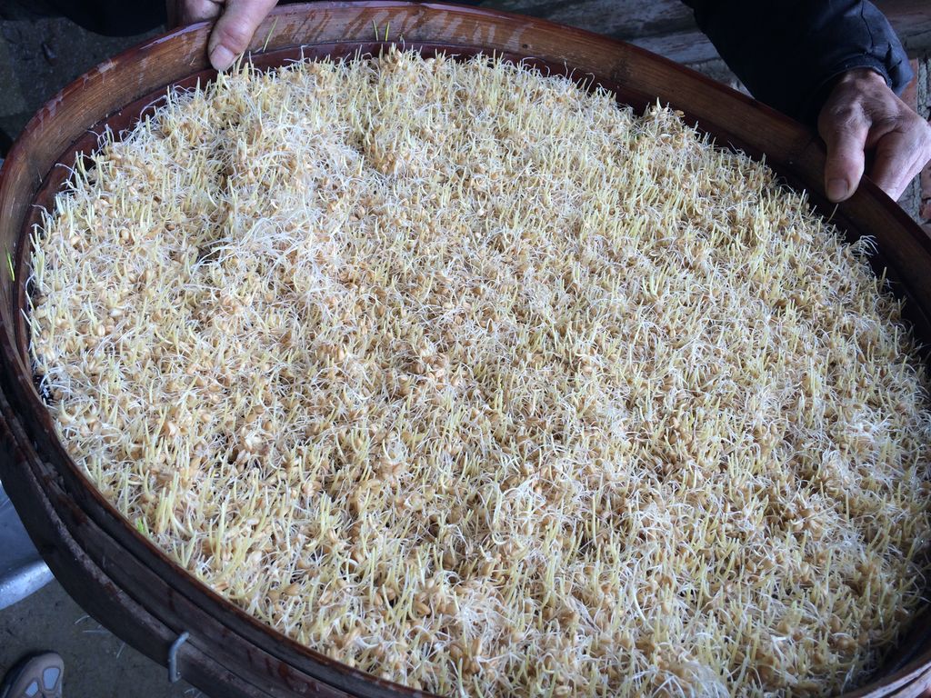 免疫系统疾病还能打hpv疫苗吗,得hpv提升免疫力最有效的方法