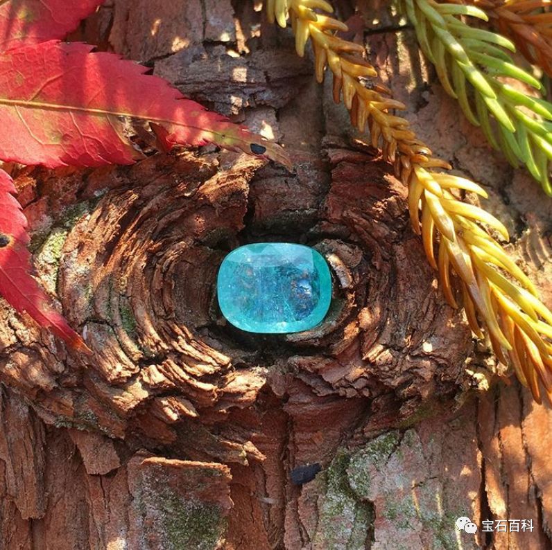 帕拉伊巴碧玺10克拉,帕拉伊巴碧玺猫眼