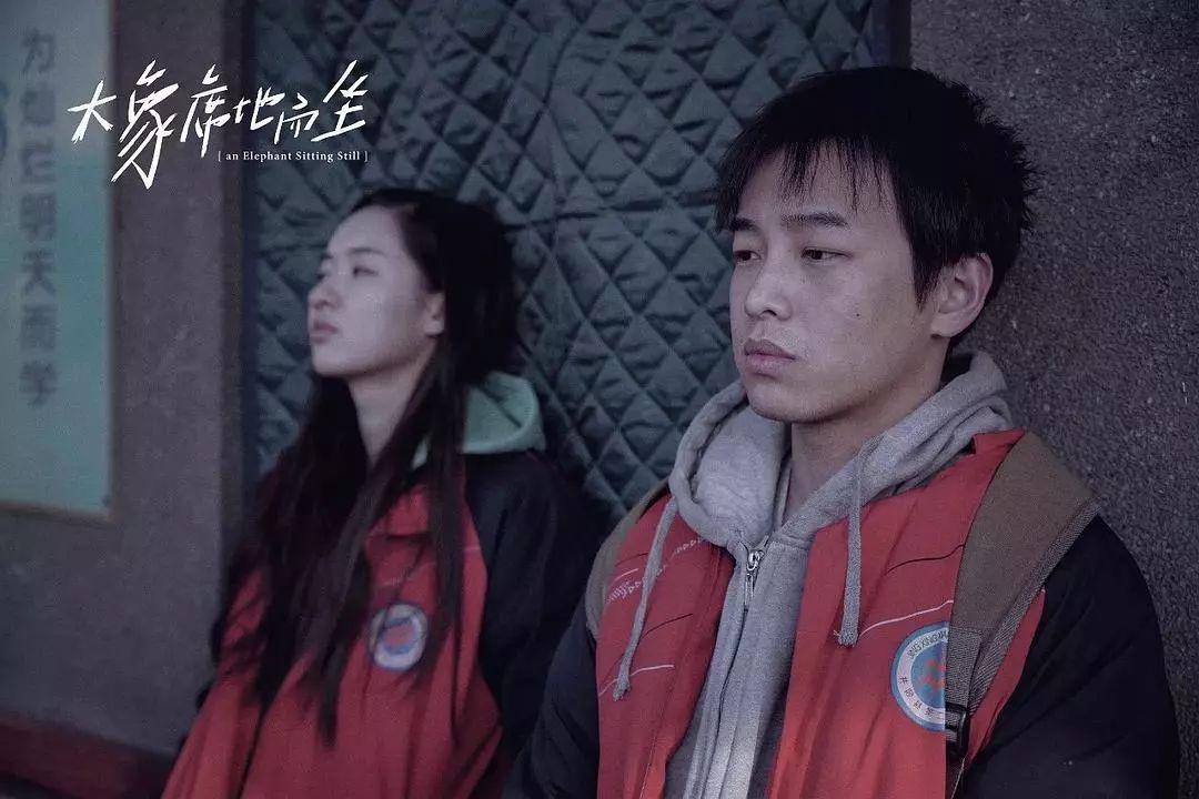 大象席地而坐导演怎么了,大象席地而坐电影导演胡波