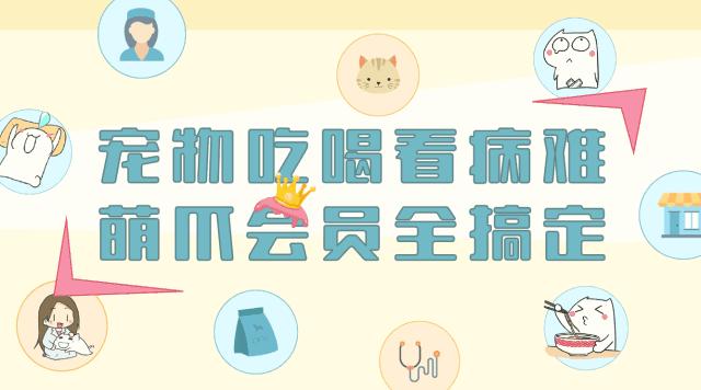 猫把电线咬破怎么办,猫咬电线被炸成小糊脸