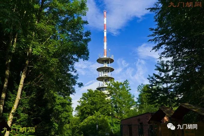 海德堡位于哪里,海德堡资料