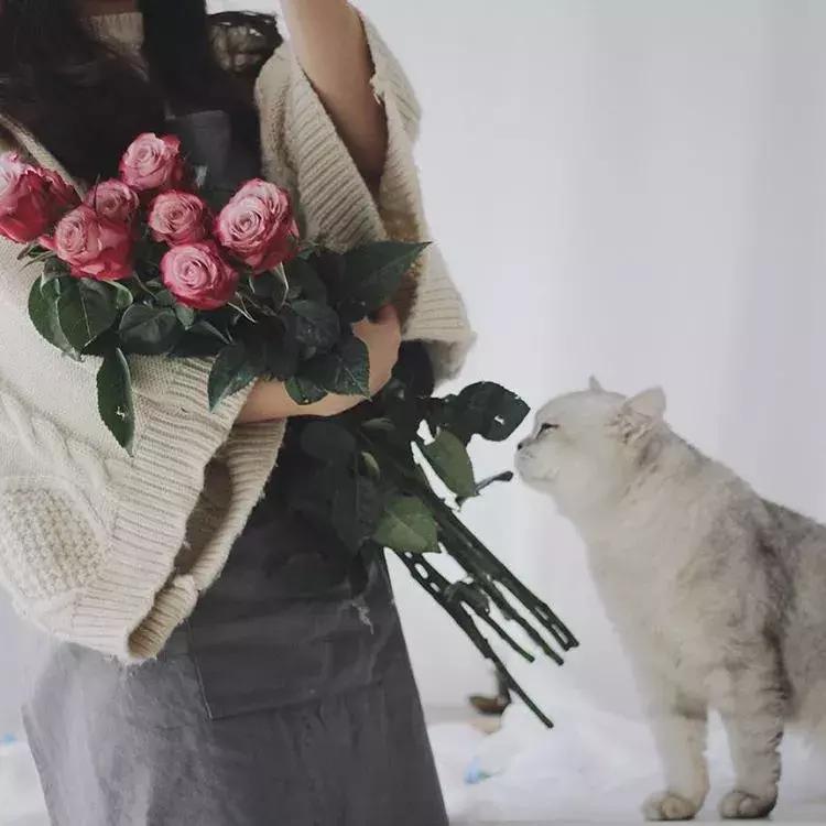 七夕玫瑰的数量和颜色有讲究,七夕情人节送玫瑰支数含义