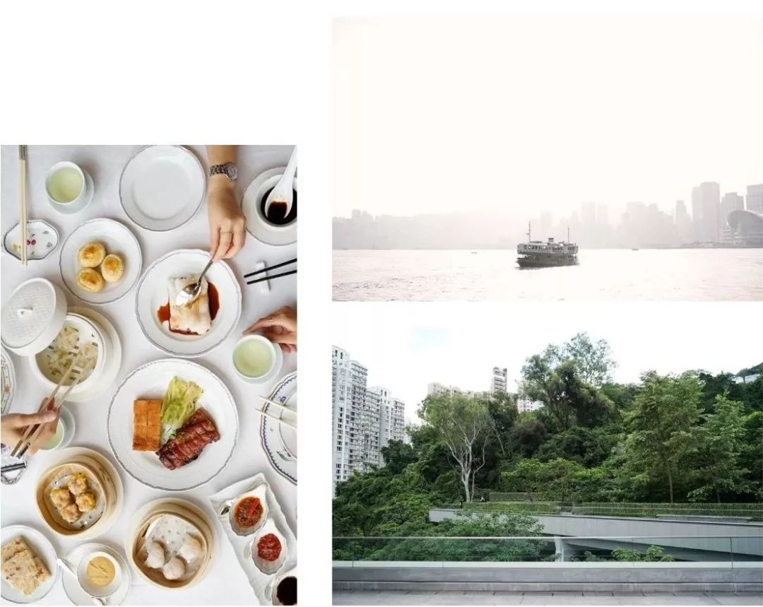 那些你曾被种过的草（排名不分先后）