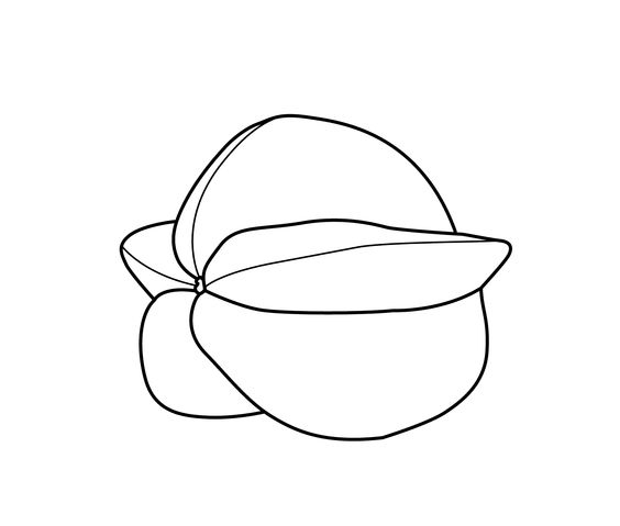 各种水果蔬菜的简笔画图片,简笔画蔬菜水果24张简单简笔画