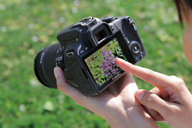 单反相机新手零基础教学佳能相机,佳能数码相机摄影技巧大全