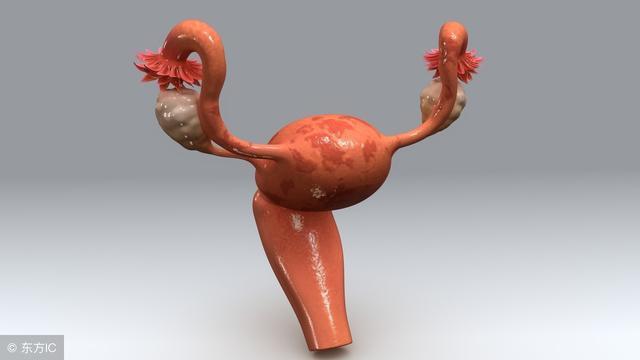 宫颈肥大是什么原因造成的有危害,宫颈肥大是什么原因有什么危害