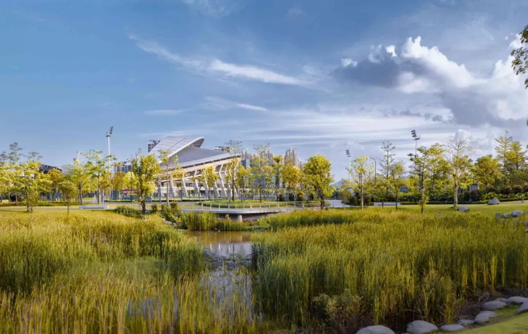 江门保利大都会体育中心,江门保利体育中心周边