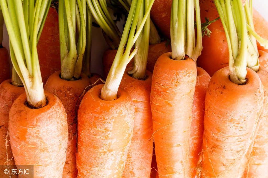 吃太多胡萝卜会生病吗,吃多了胡萝卜伤脾吗