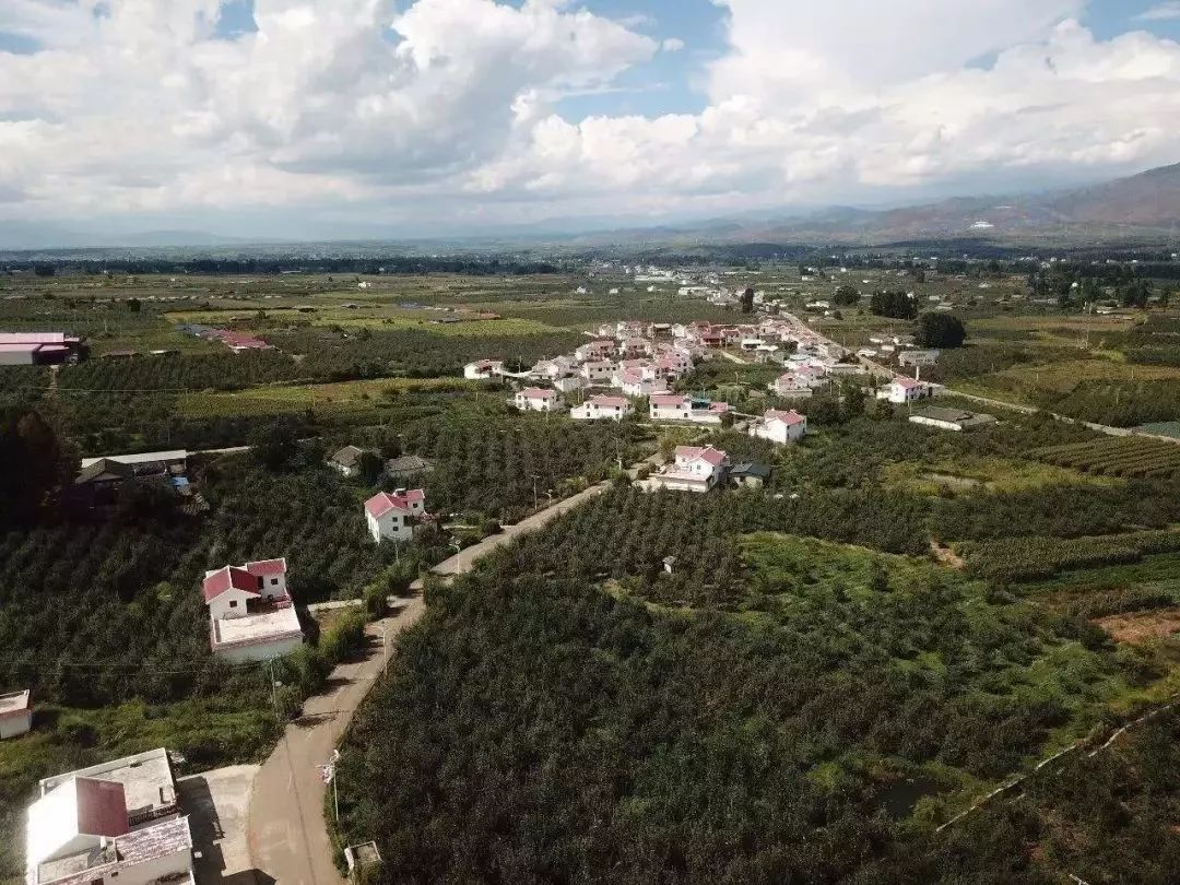 晚上吃苹果为什么堪比砒霜,为什么说苹果晚上吃是毒果