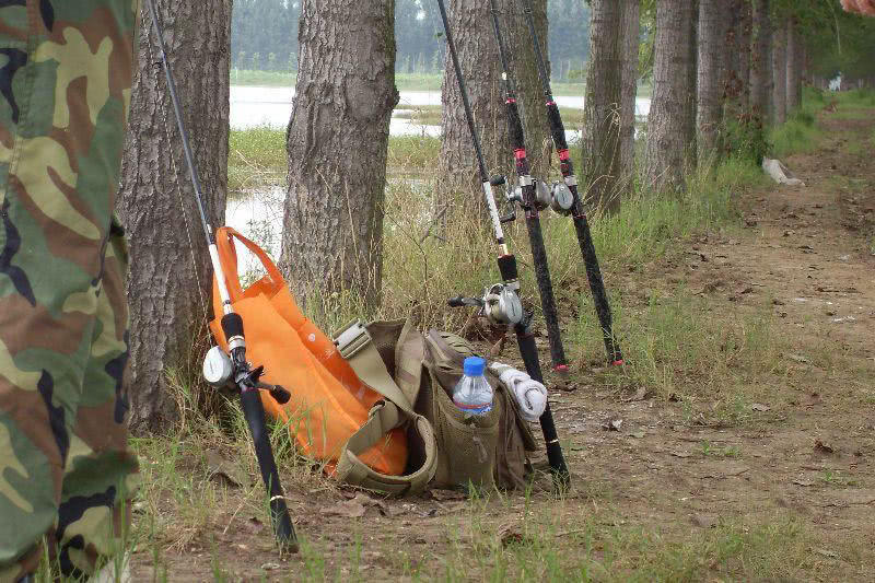 浮萍塘路亚黑鱼扩口,浮萍塘传统野钓大鲫鱼