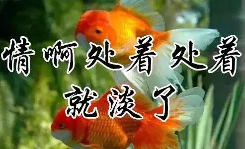 知足常乐每天都要保持开心的状态,知足常乐开心过好每一天