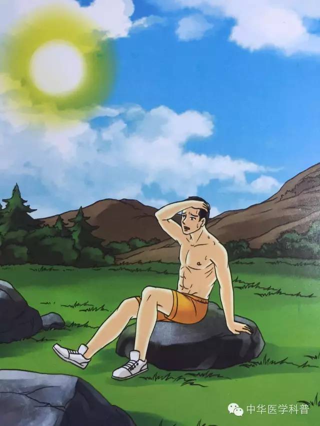 中暑常识100例,宠物中暑的急救常识