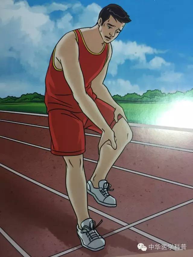 中暑急救常识大全,猫咪中暑的急救常识