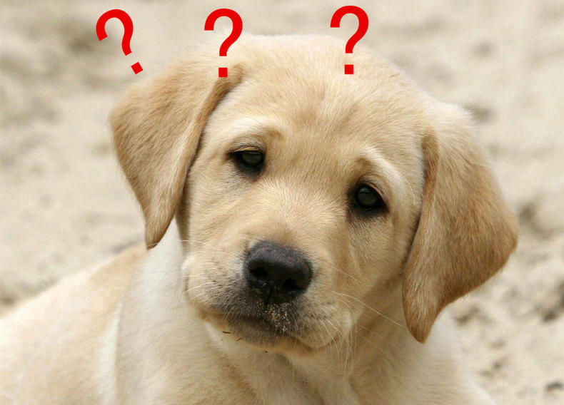 吃鸡主流游戏畅玩,吃鸡游戏本性价比推荐