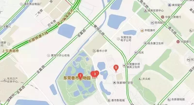 实力圈粉！熊猫兄弟今天正式亮相东莞，一大波萌图滚滚来袭