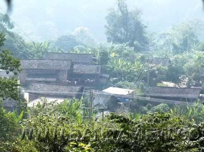 勐海县六大茶山茶叶,云南五大名茶叶山头