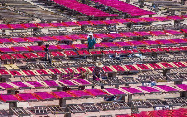 佛香烘干机解决方案,佛香烘干设备推荐